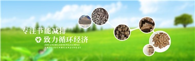 倪維斗院士：通過技術(shù)創(chuàng)新，大力發(fā)展超級能源生物質(zhì)燃料